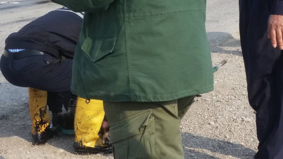 به‌هۆی رووداوی هاتووچۆوه‌ 9 كه‌س بریندار بوون